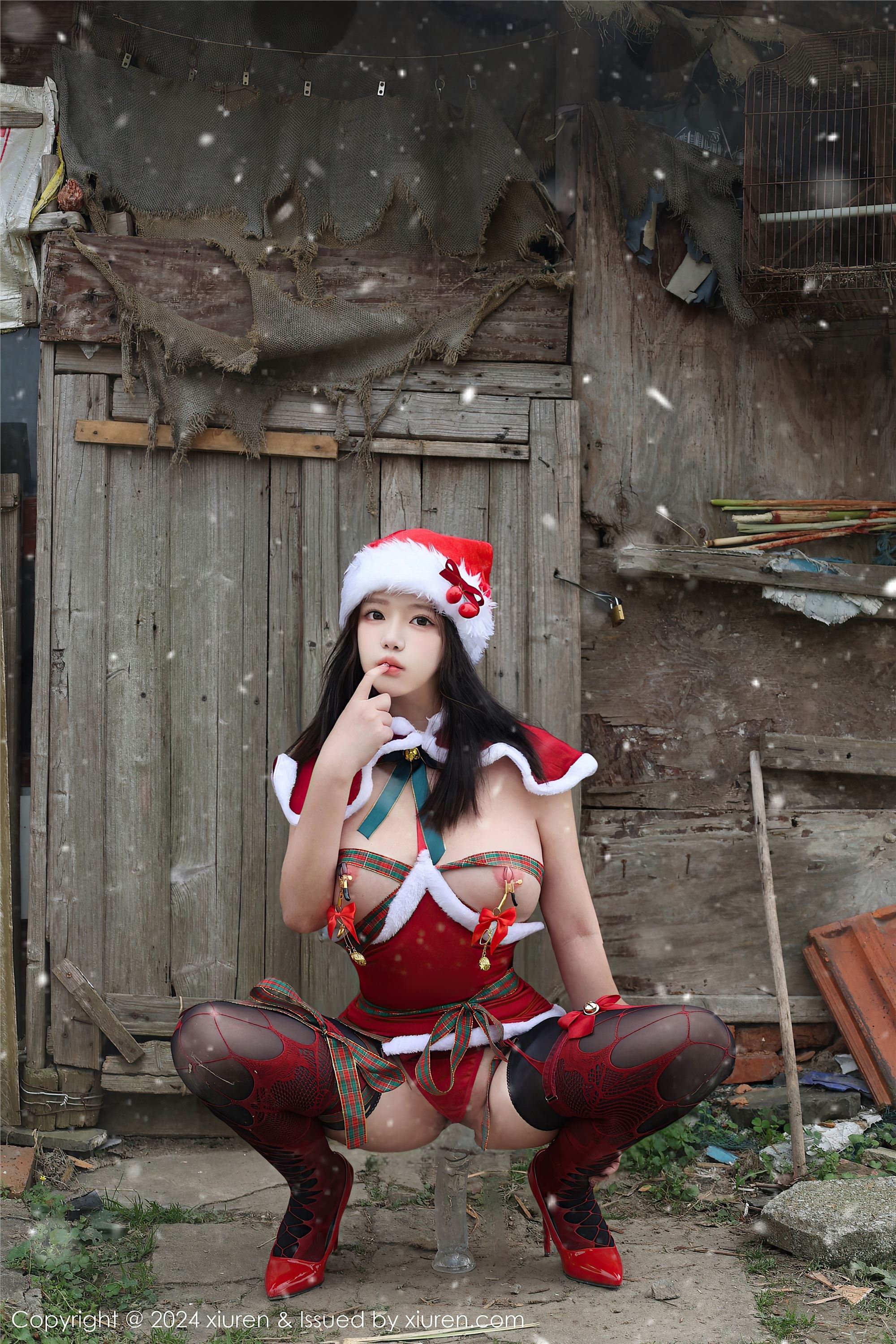 Xiuren秀人网 2024.12.20 NO.9630 小薯条nienie